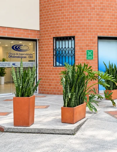 Sede Caldas 3 Clinica CEO